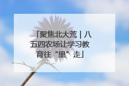 聚焦北大荒｜八五四农场让学习教育往“里”走