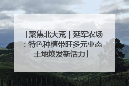 聚焦北大荒｜延军农场：特色种植带旺多元业态 土地焕发新活力