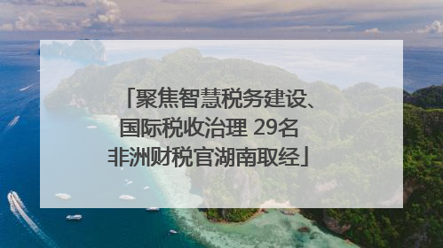 聚焦智慧税务建设、国际税收治理 29名非洲财税官湖南取经