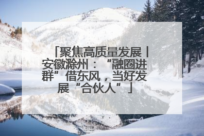 聚焦高质量发展丨安徽滁州：“融圈进群”借东风，当好发展“合伙人”