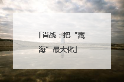 肖战：把“藏海”最大化