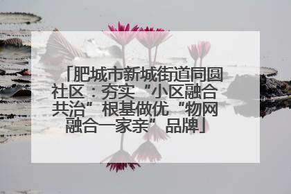肥城市新城街道同圆社区：夯实“小区融合共治”根基做优“物网融合一家亲”品牌