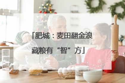 肥城：麦田翻金浪藏粮有“智”方