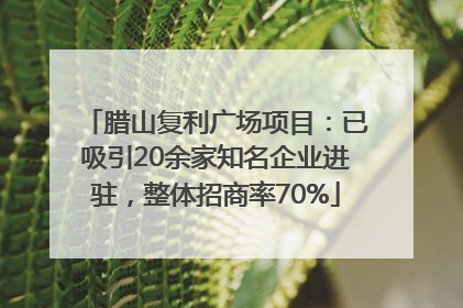 腊山复利广场项目：已吸引20余家知名企业进驻，整体招商率70%
