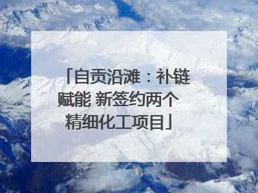 自贡沿滩：补链赋能 新签约两个精细化工项目