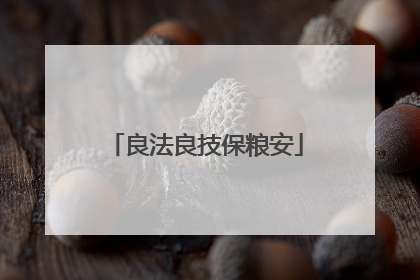 良法良技保粮安