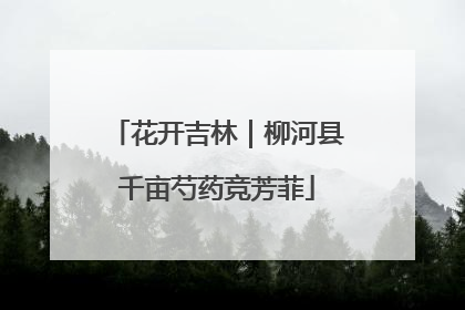 花开吉林｜柳河县千亩芍药竞芳菲