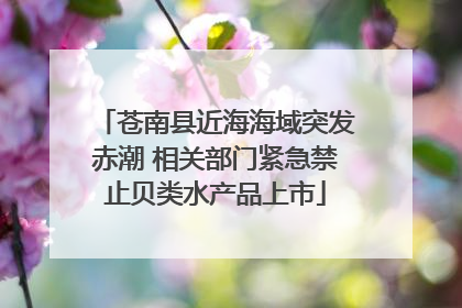 苍南县近海海域突发赤潮 相关部门紧急禁止贝类水产品上市