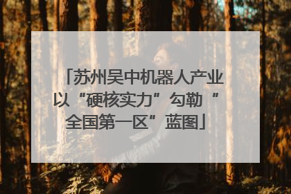 苏州吴中机器人产业以“硬核实力”勾勒“全国第一区”蓝图