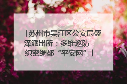 苏州市吴江区公安局盛泽派出所：多维巡防  织密绸都“平安网”