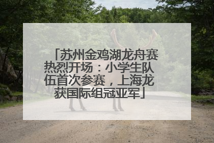 苏州金鸡湖龙舟赛热烈开场：小学生队伍首次参赛，上海龙获国际组冠亚军