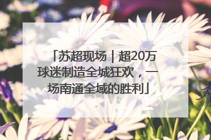 苏超现场｜超20万球迷制造全城狂欢，一场南通全域的胜利