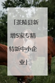 茶陵县新增5家专精特新中小企业