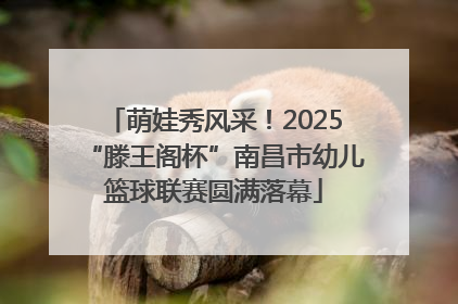 萌娃秀风采！2025“滕王阁杯”南昌市幼儿篮球联赛圆满落幕