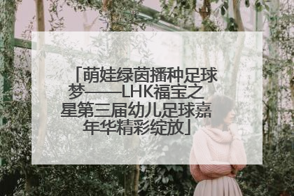 萌娃绿茵播种足球梦——LHK福宝之星第三届幼儿足球嘉年华精彩绽放