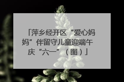 萍乡经开区“爱心妈妈”伴留守儿童迎端午庆“六一”（图）