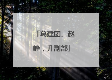 葛建团、赵峰，升副部