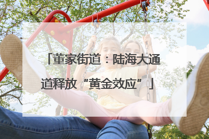董家街道：陆海大通道释放“黄金效应”