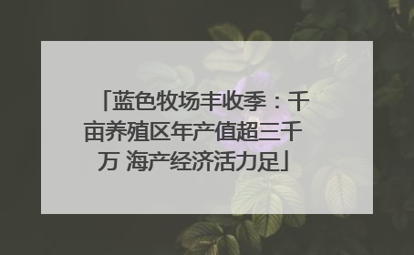 蓝色牧场丰收季：千亩养殖区年产值超三千万 海产经济活力足