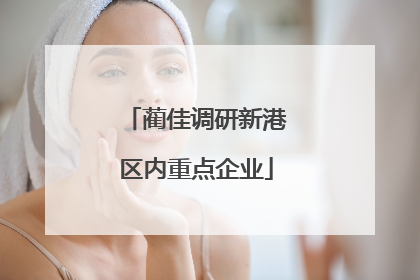 蔺佳调研新港区内重点企业