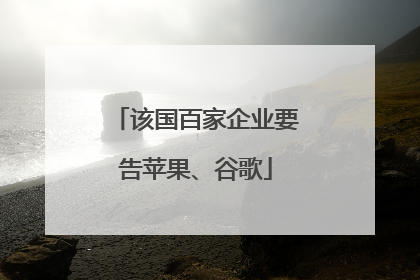 该国百家企业要告苹果、谷歌