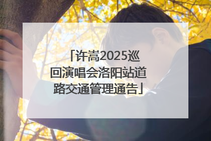 许嵩2025巡回演唱会洛阳站道路交通管理通告