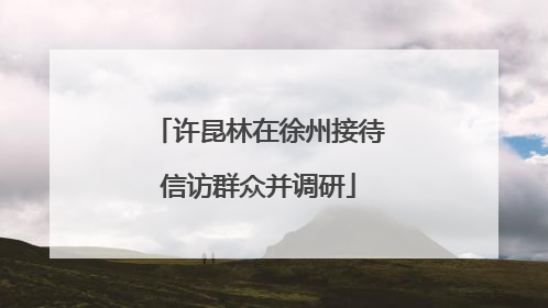 许昆林在徐州接待信访群众并调研