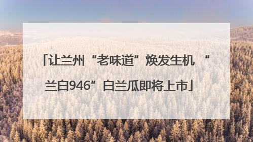 让兰州“老味道”焕发生机 “兰白946”白兰瓜即将上市