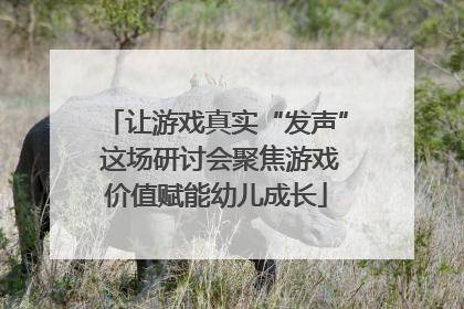 让游戏真实“发声” 这场研讨会聚焦游戏价值赋能幼儿成长