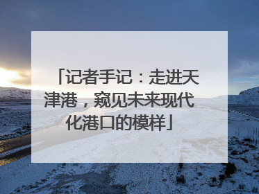记者手记：走进天津港，窥见未来现代化港口的模样