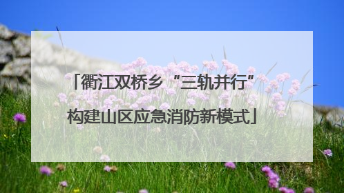 衢江双桥乡“三轨并行” 构建山区应急消防新模式