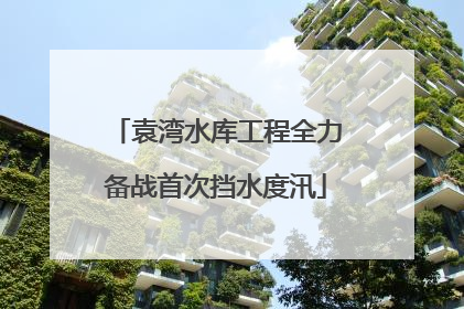 袁湾水库工程全力备战首次挡水度汛