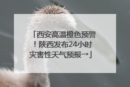 西安高温橙色预警！陕西发布24小时灾害性天气预报→