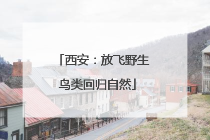 西安：放飞野生鸟类回归自然