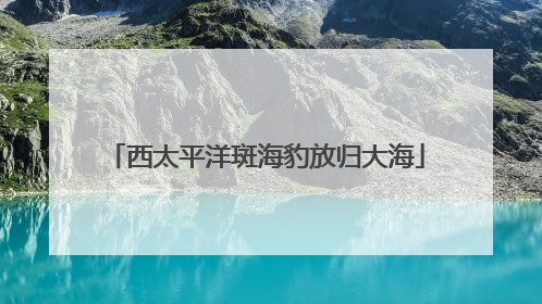 西太平洋斑海豹放归大海