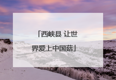 西峡县 让世界爱上中国菇