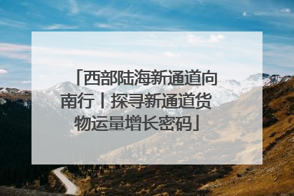 西部陆海新通道向南行丨探寻新通道货物运量增长密码