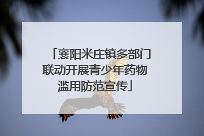 襄阳米庄镇多部门联动开展青少年药物滥用防范宣传