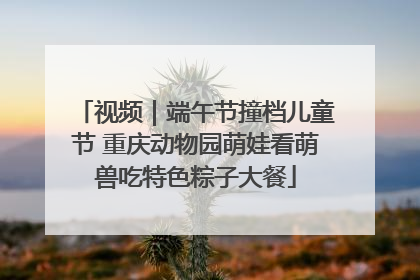 视频｜端午节撞档儿童节 重庆动物园萌娃看萌兽吃特色粽子大餐