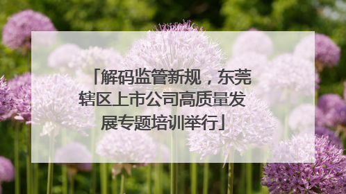 解码监管新规，东莞辖区上市公司高质量发展专题培训举行