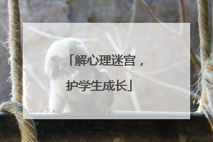 解心理迷宫，护学生成长