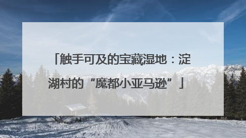 触手可及的宝藏湿地：淀湖村的“魔都小亚马逊”