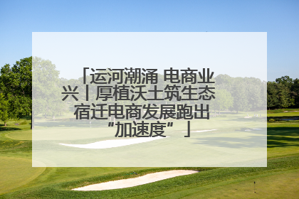 运河潮涌 电商业兴丨厚植沃土筑生态 宿迁电商发展跑出“加速度”