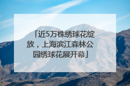 近5万株绣球花绽放，上海滨江森林公园绣球花展开幕