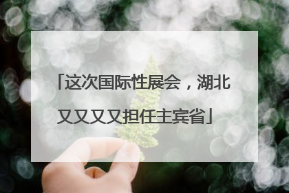 这次国际性展会，湖北又又又又担任主宾省
