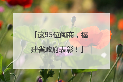 这95位闽商，福建省政府表彰！