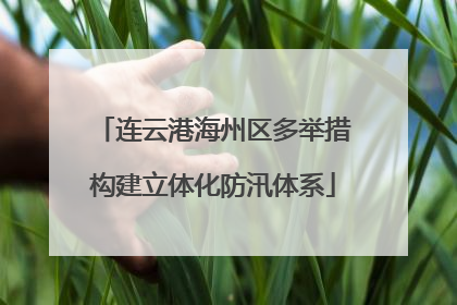 连云港海州区多举措构建立体化防汛体系