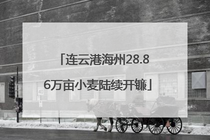 连云港海州28.86万亩小麦陆续开镰