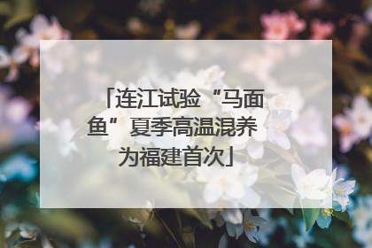 连江试验“马面鱼”夏季高温混养 为福建首次