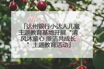 达州银行小达人儿童主题教育基地开展“清风沐童心 廉洁共成长”主题教育活动